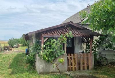 Casa de vanzare, 65 mp, zona Balta Blonda - 1