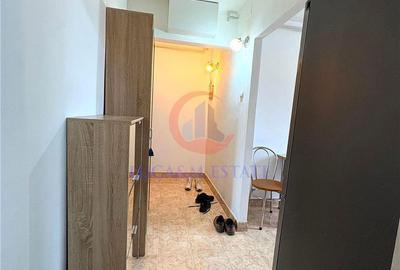 Apartament cu 2 camere semidecomandat, mobilat în Iosefin - 8