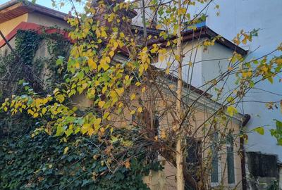 Casă pe parter, poziție premium – perfectă pentru investiție sau birou - 2