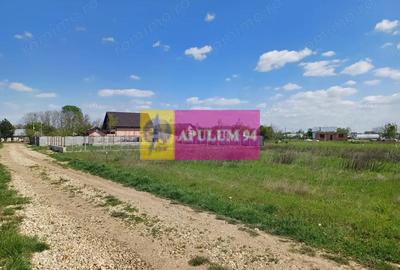 Teren de 520 mp, în Săbăreni