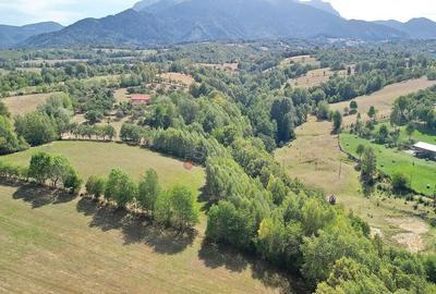 Teren intravilan, priveliste deosebita - 1