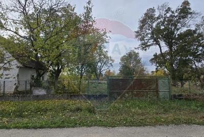 Teren generos cu potential in comuna Silindia, judetul Arad - 1