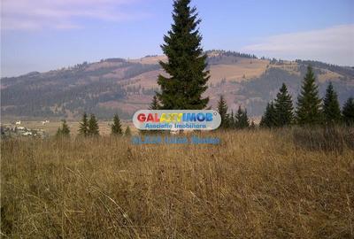 Teren intravilan de 12730 mp, în Central - 2