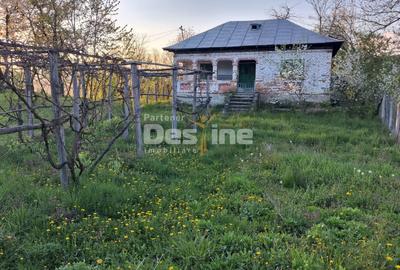 Casă individuală cu 2 camere cu Teren 1150 Mp în Păușești - 4