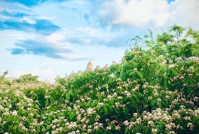 Apartament cu 4 camere decomandat, mobilat în Cotroceni - 23