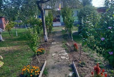 Casa de vanzare 20.000 euro usor Negociabil 1073mp Casa este locuibil - 3