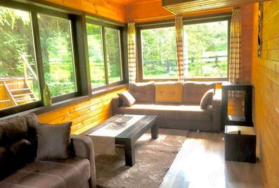 Casa din grinzi pe marginea paraului Borzont - 9