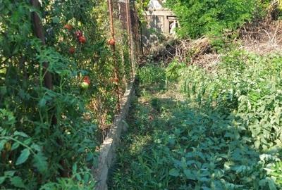 Casă individuală cu 3 camere cu Teren 500 Mp în 6 Vânători - 14