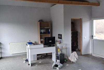 Casă cu Teren 8000 Mp în Panticeu - 3