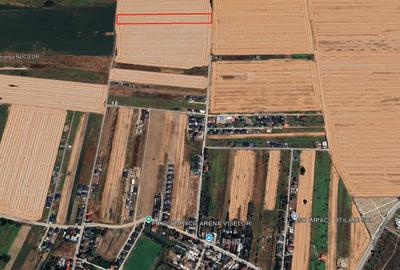 Teren agricol intravilan de 12500 mp, în Dragomirești-Vale - 3