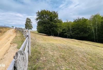 Spațiu comercial, în Central - 5