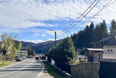 Teren Construcții intravilan de 4000 mp, în Brădet - 10