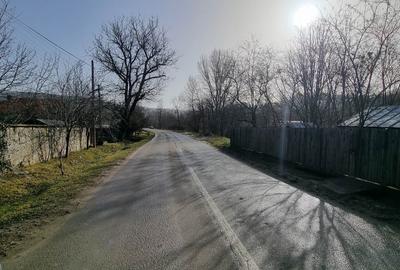 Casă individuală cu 4 camere cu Teren 1523 Mp în Cărbunești - 15