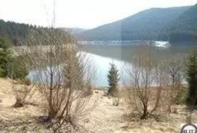 Teren de 3000 mp, în Sud - 5