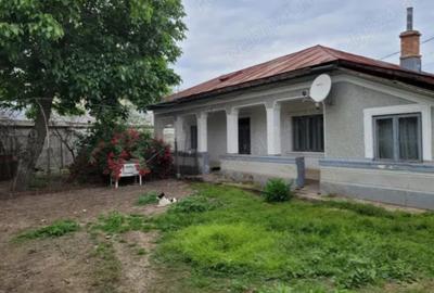 Casă cu 6 camere cu Teren 1351 Mp în Cernica - 5