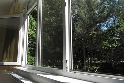 Drumul Taberei, Favorit - 4