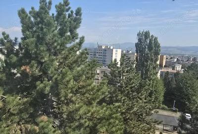 Vand apartament 2 camere in Deva, zona Micro 15 (Lidl), izolat exterior, suprafata utila 36 mp, - 4