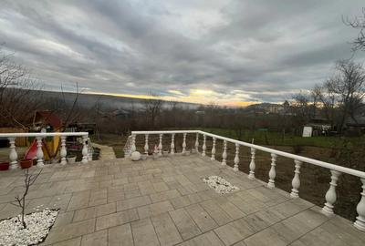 Casa de vanzare in Sat Saceni. - 2