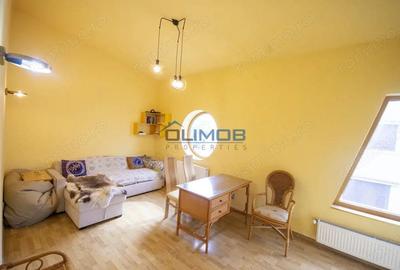 Inchiriere vila cu personalitate zona Tudor Vladimirescu - 9