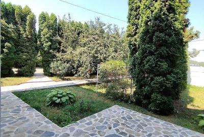 Strada Putin Circulata - 5