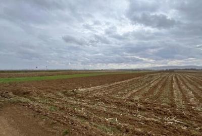 Teren extravilan 2500 mp,cu acces la Centura ,Radauti - 2