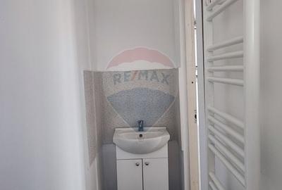 Hala Industriala, Parcul Industrial Bors 2, De Vanzare - 10