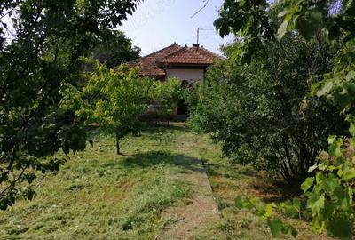Teren intravilan de vanzare pe care se afla o casa batraneasca - 8