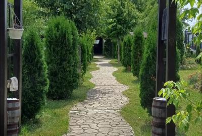 Casă cu 2 camere cu Teren 11770 Mp în Fălticeni - 2