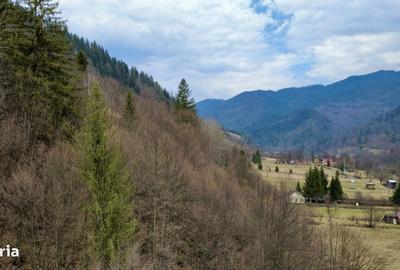 Casă cu 4 camere cu Teren 2985 Mp în Tarcău - 9