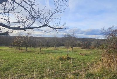 Casa de vanzare la ?ara - 2