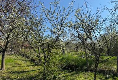 Casă cu Teren 2000 Mp în Valea Fetei - 9