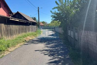 Casă cu Teren 6299 Mp în Gogoșu - 4