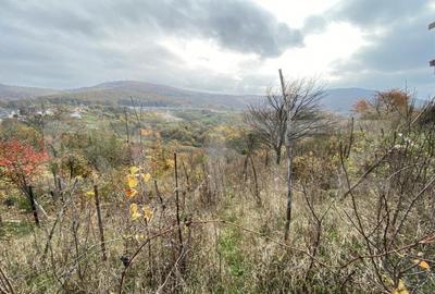 Teren extravilan 787 mp in zona Somosoldal - 3