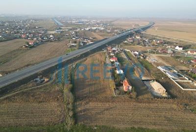 Teren intravilan 4.832 de vanzare Letea Veche - 5