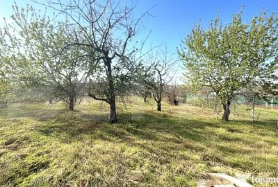 Teren de 1000 mp, în Paleu - 2