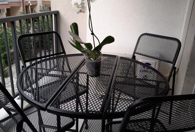 Apartament cu 2 camere decomandat în Beba Veche - 8