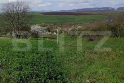 Teren de 1500 mp, în Central