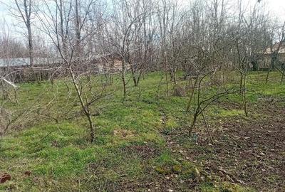 Casă cu 4 camere cu Teren 1110 Mp în Vlad Țepeș