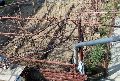 Casa de vanzare in Media?, cartierul Gura Campului Casa de vanzare in Media?, cartierul Gura Campului - 3