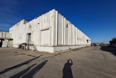 Spațiu industrial, de 500 mp, în Glina - 3