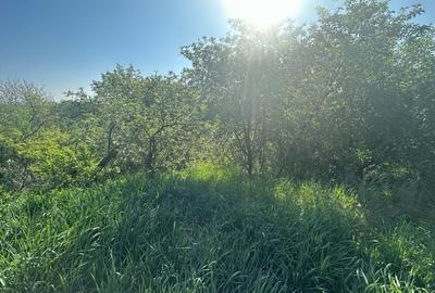 Casa Individuala Ozun Covasna teren 3200 mp - 13