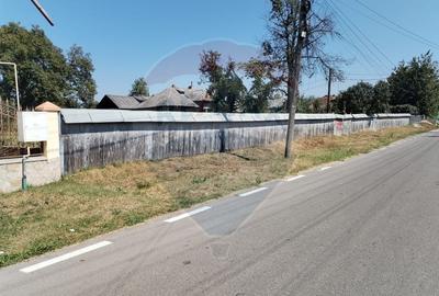 Casă individuală cu 4 camere cu Teren 3370 Mp în Central - 17