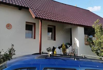 Casă cu 3 camere în Sânmihaiu Almașului - 1
