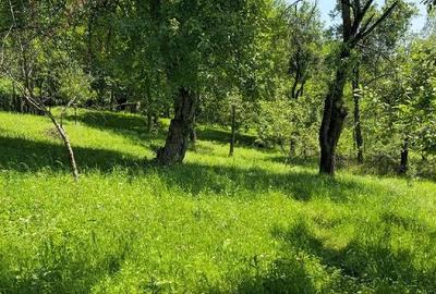 Teren de 9000 mp, în Secăria - 4
