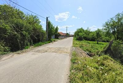 Teren 1712mp de vanzare in Horezu, Turcinesti, langa Pensiunea Arianna - 3