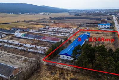 Spatiu industrial, comercial, depozitare,860mp,com Traian, jud Bacau, - 3