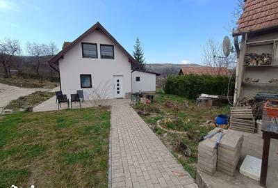 Casă cu 3 camere cu Teren 1500 Mp în Băgaciu - 7