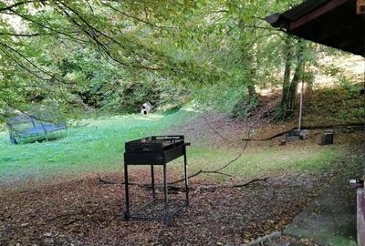 Inchiriez casa in Floresti la marginea padurii - 6