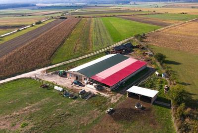 FILM! 18.000 mp,extravilan,agricol constructii, recomandat:f - 2