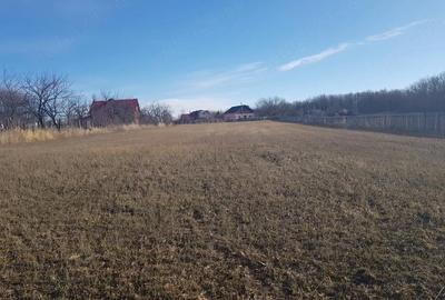 Teren de 5000 mp, în Schitu Hadâmbului - 7